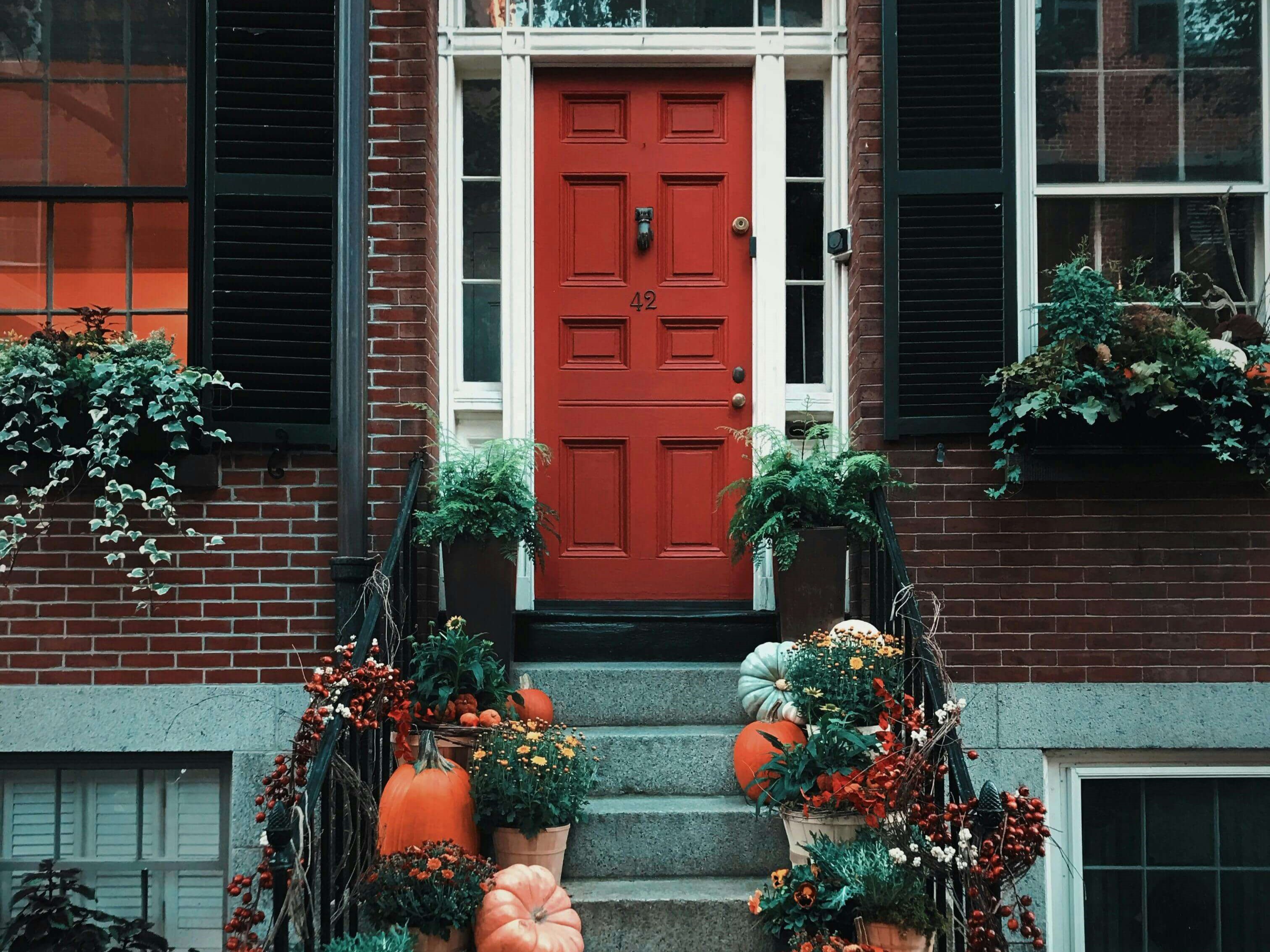 Cum sa decorezi casa cu flori pentru Halloween